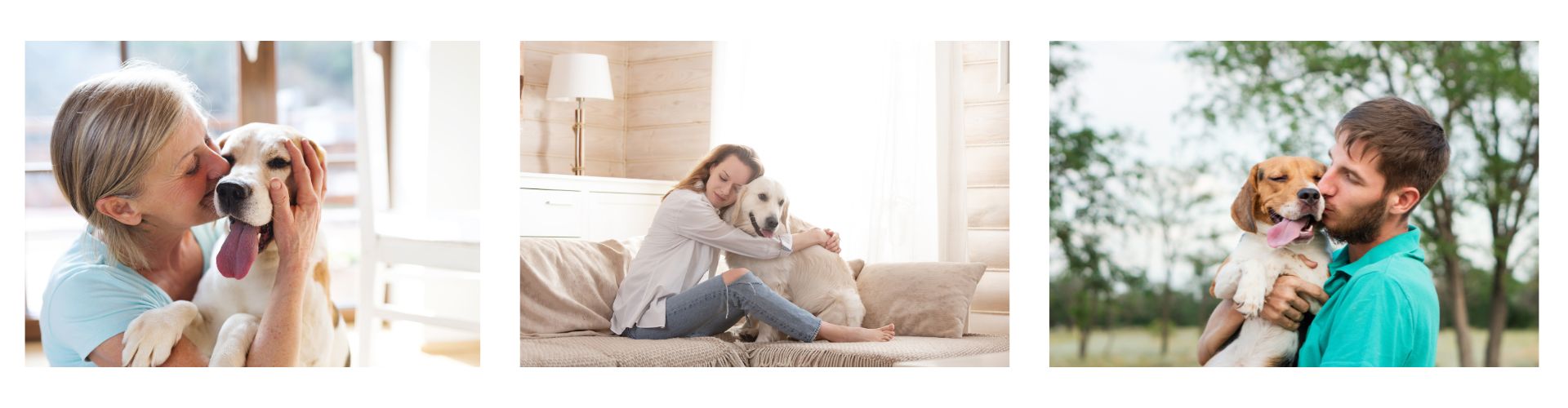 En regelbunden rutin för tandborstning hos hundar