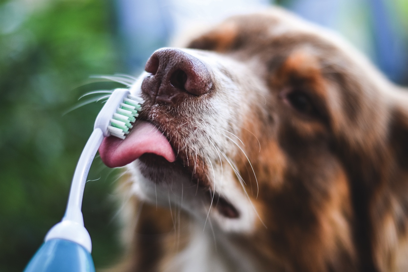 Ultraljudstandborsten rengör skonsamt utan borstning