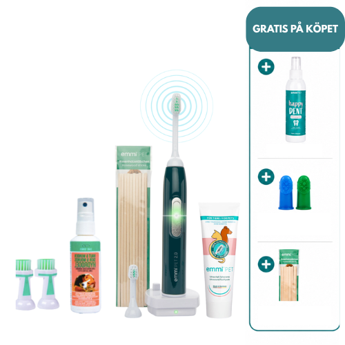 emmi®-pet 2.0 Vårdset för hund (Basic)