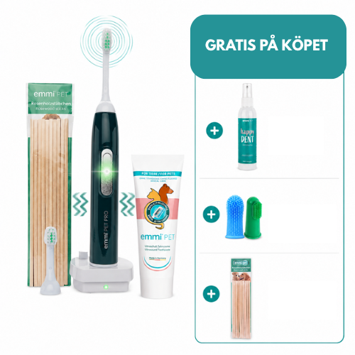 emmi®-pet PRO Ultraljudstandborste för hund (Professional)